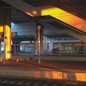 Gai视频在线观看免费播放
