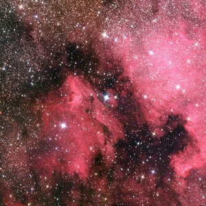 Gai视频在线观看免费播放
