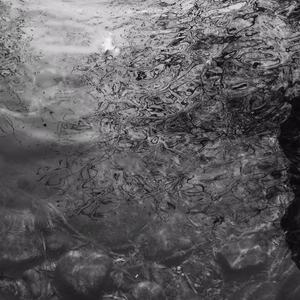 Gai视频在线观看免费播放
