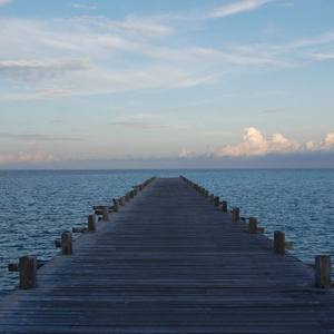 Gai视频在线观看免费播放
